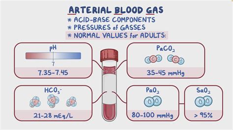 Arterial Blood Gas (ABG) analysis 